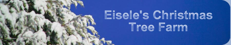 Eisele Tree Farm